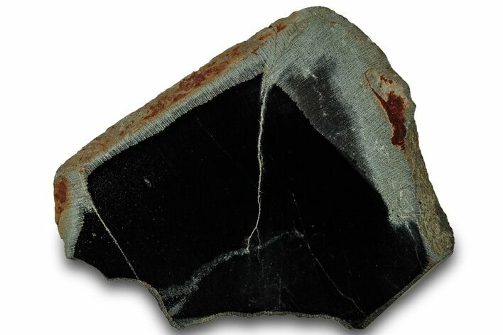 Polished Black Jade (Actinolite) Section - Western Australia #314592